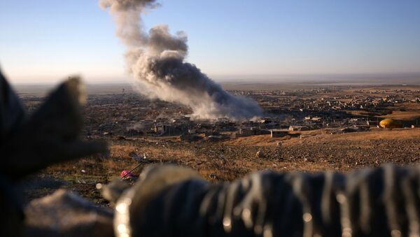 رئیس حزب اتحاد دموکراتیک کردستان: جنگنده های ترکیه بدون تصویب نیرو های ائتلاف نمی توانست سوریه را بمباران کند - اسپوتنیک افغانستان  