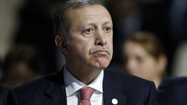 مشاور اردوغان شایعات مرگ وی را رد کرد - اسپوتنیک افغانستان  
