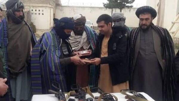 یک گروه پنج نفری طالبان در فاریاب به دولت تسلیم شدند - اسپوتنیک افغانستان  