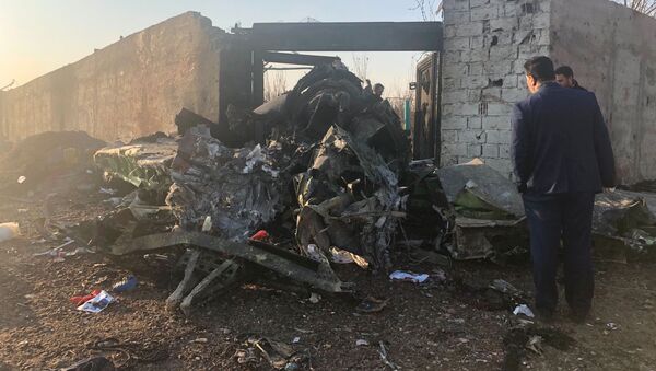 محل سقوط هواپیمای مسافربری اوکراینی در استان تهران - اسپوتنیک افغانستان  