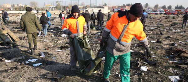 سقوط طیاره اوکراینی در ایران به روایت تصویر سقوط طیاره اوکراینی در ایران به روایت تصویر - اسپوتنیک افغانستان