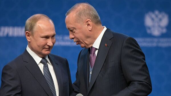 Президент России Владимир Путин и президент Турции Реджеп Тайип Эрдоган на церемонии официального открытия газопровода Турецкий поток в Стамбуле - اسپوتنیک افغانستان  