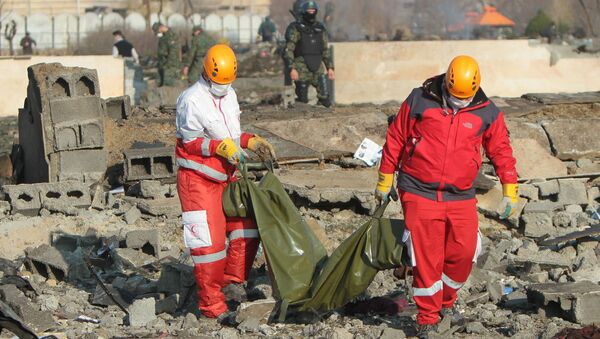 انتشار گزارش اولیه از سقوط هواپیمای اوکراینی  - اسپوتنیک افغانستان  