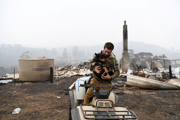 مرد و سگ در مقابل خانه‌یی که در آسترالیا حریق شده است - اسپوتنیک افغانستان  