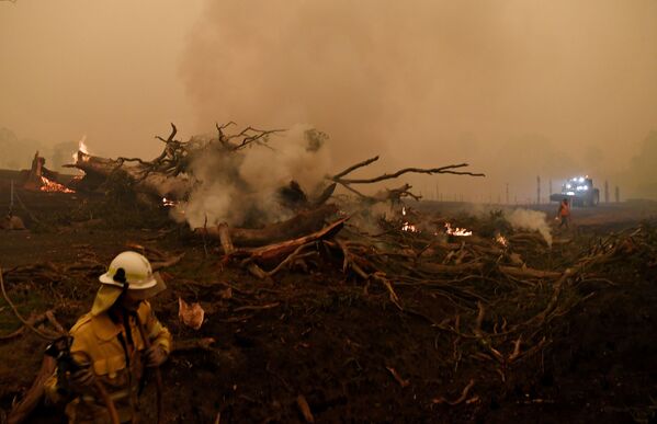 آتش‌نشانان در حال خاموش‌ساختن آتش در جنگل‌های آسترالیا - اسپوتنیک افغانستان  