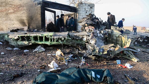 فامیل یکی از قربانیان سقوط هواپیمای اوکراینی پیدا نشد - اسپوتنیک افغانستان  