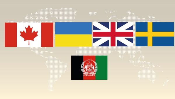 تشکیل گروه هماهنگی و پاسخگویی بین المللی برای خانواده های قربانیان هواپیمایی اوکراینی  PS752  - اسپوتنیک افغانستان  
