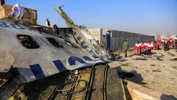 طیاره سقوط شده اوکراین نتیجۀ «شیطنت‌های امریکا» در منطقه  - اسپوتنیک افغانستان  