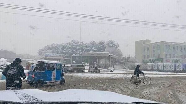 برفباری شدید در هرات جان شش عضو یک خانواده را گرفت  - اسپوتنیک افغانستان  