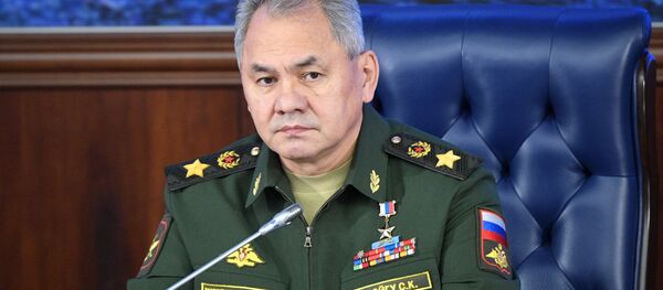    وزیر دفاع روسیه وضعیت کنترل بر تسلیحات را مورد بحث قرار داد   - اسپوتنیک افغانستان  