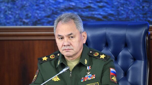 Министр обороны РФ, генерал армии Сергей Шойгу - اسپوتنیک افغانستان  