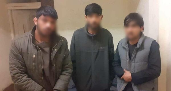 دستگیری یک گروه چپاولگران حرفوی در پغمان کابل دستگیری یک گروه چپاولگران حرفوی در پغمان کابل - اسپوتنیک افغانستان