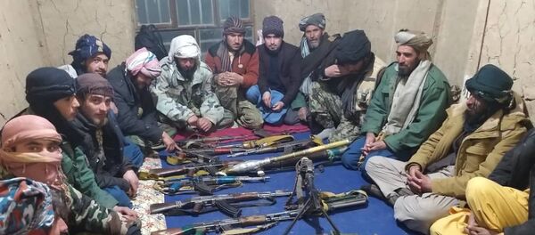 30 طالب مسلح در ولایت هرات به دولت تسلیم شدند 30 طالب مسلح در ولایت هرات به دولت تسلیم شدند - اسپوتنیک افغانستان