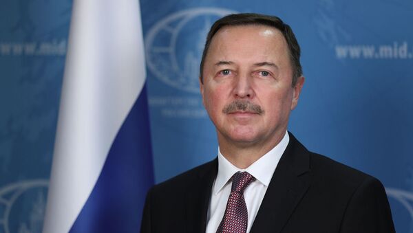 الکساندر یفیموف سفیر روسیه در سوریه - اسپوتنیک افغانستان  