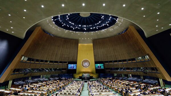 اسامبله عمومی سازمان ملل متحد - اسپوتنیک افغانستان  