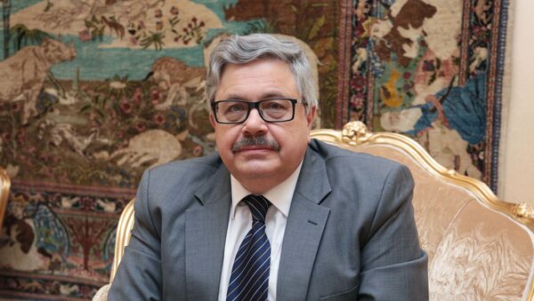 سفیر روسیه در ترکیه دوباره تهدید به مرگ شد - اسپوتنیک افغانستان  