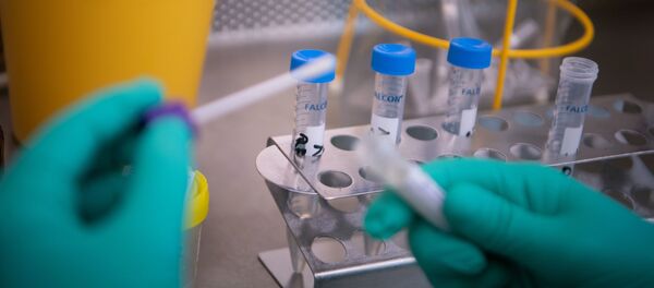 ثبت اولین مورد ویروس کرونا در برازیل - اسپوتنیک افغانستان  