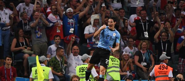 کاوانی کاوانی - اسپوتنیک افغانستان