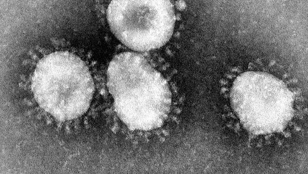  Coronaviruses are a group of viruses that have a halo, or crown-like (corona) appearance when viewed under an electron microscope - اسپوتنیک افغانستان  