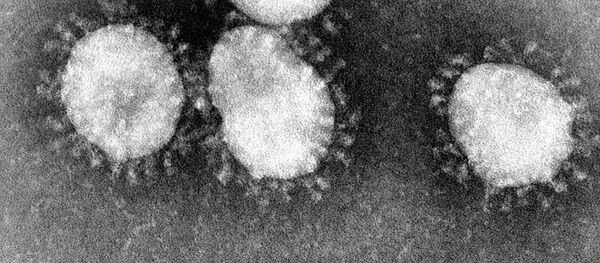 فرستادن ۸ نمونه مشکوک کرونا از هرات، فراه و لوگر به کابل - اسپوتنیک افغانستان  