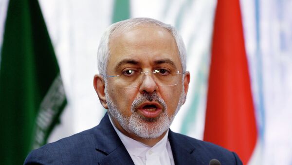 محمد جواد ظریف وزیر  امور خارجه ایران  - اسپوتنیک افغانستان  
