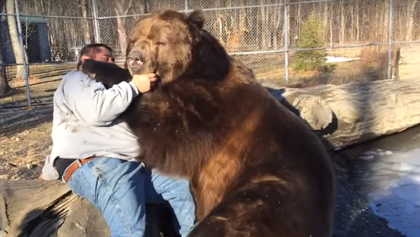 بازی مردی با خرس بزرگ - اسپوتنیک افغانستان  