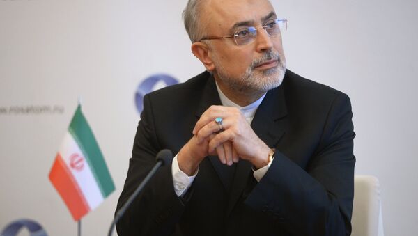 علی اکبر صالحی رئیس سازمان انرژی اتمی ایران - اسپوتنیک افغانستان  