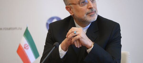 علی اکبر صالحی رئیس سازمان انرژی اتمی ایران علی اکبر صالحی رئیس سازمان انرژی اتمی ایران - اسپوتنیک افغانستان