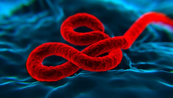  کشف مورد جدید ابولا در جمهوری دموکراتیک کنگو  - اسپوتنیک افغانستان  