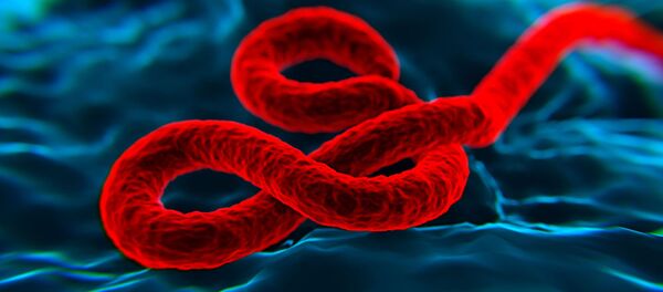  کشف مورد جدید ابولا در جمهوری دموکراتیک کنگو  - اسپوتنیک افغانستان  