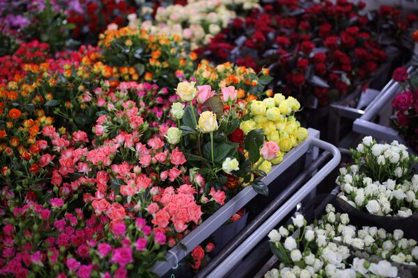 بازار گرم فروش گل به مناسبت هشت مارچ به روایت تصویر - اسپوتنیک افغانستان  