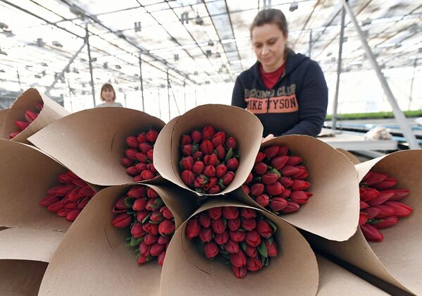 بازار گرم فروش گل به مناسبت هشت مارچ به روایت تصویر - اسپوتنیک افغانستان  