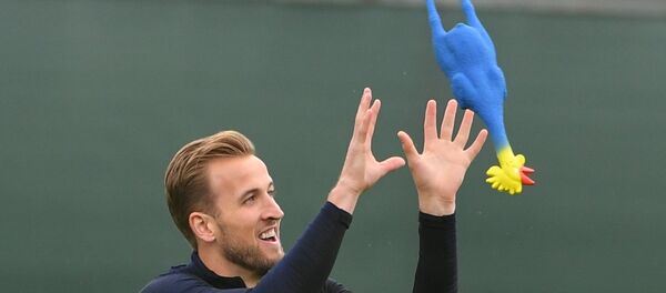 England's Harry Kane plays with a toy rooster during the national soccer team's training session in St. Petersburg, Russia, July 10, 2018. England's Harry Kane plays with a toy rooster during the national soccer team's training session in St. Petersburg, Russia, July 10, 2018. - اسپوتنیک افغانستان