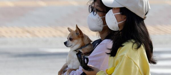 کرونا ویروس، انفلونزا یا سرماخوردگی؟ اجمال علایم  کرونا ویروس، انفلونزا یا سرماخوردگی؟ اجمال علایم - اسپوتنیک افغانستان