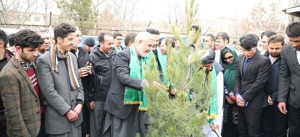 وزارت زراعت: دو میلیون نهال در سراسر کشور غرس میشود وزارت زراعت: دو میلیون نهال در سراسر کشور غرس میشود - اسپوتنیک افغانستان