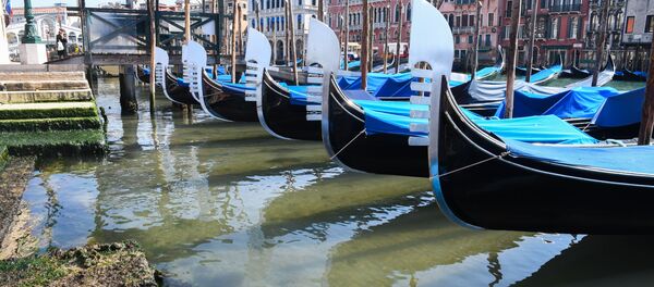 پاکشدن آب کانالهای ونیز پس از اعلام قرنطینه در ایتالیا + ویدیو پاکشدن آب کانالهای ونیز پس از اعلام قرنطینه در ایتالیا + ویدیو - اسپوتنیک افغانستان