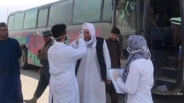 کرونا در افغانستان؛ شمار مبتلایان از مرز 10 هزار تن گذشت - اسپوتنیک افغانستان  