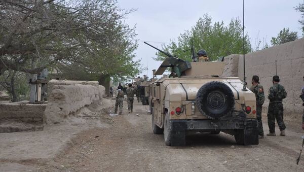کشته شدن 8 جنگجوی قطعه سرخ طالبان در جوزجان - اسپوتنیک افغانستان  