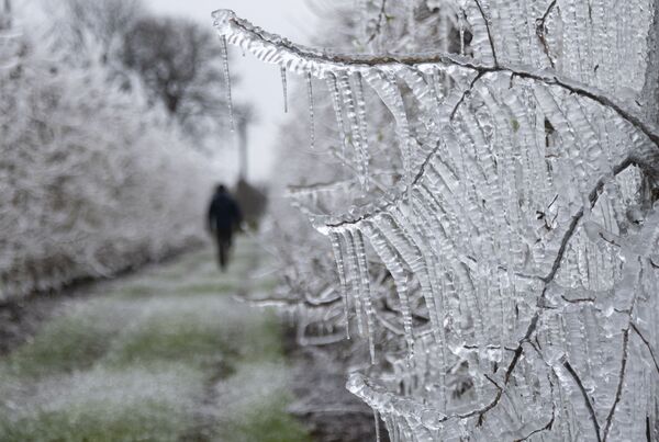 فریز کردن درختان سیب در اسلواکیا برای محافظت در برابر سرما  - اسپوتنیک افغانستان  