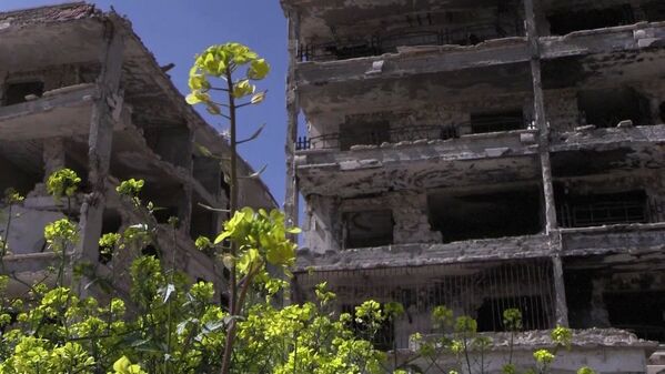 آغاز بازسازی شهر جنگ زده حلب سوریه - اسپوتنیک افغانستان  