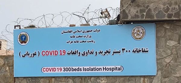 ویروس کرونا جان مسئول درمانگاه های کووید-19 هرات را گرفت  - اسپوتنیک افغانستان  