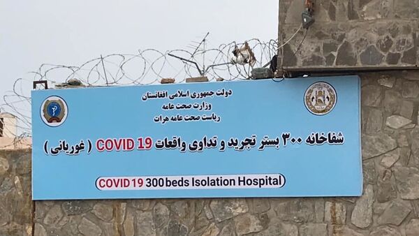 گسترش ویروس کرونا به دلیل کمبود امکانات در دفاتر دولتی  ولایت هرات - اسپوتنیک افغانستان  