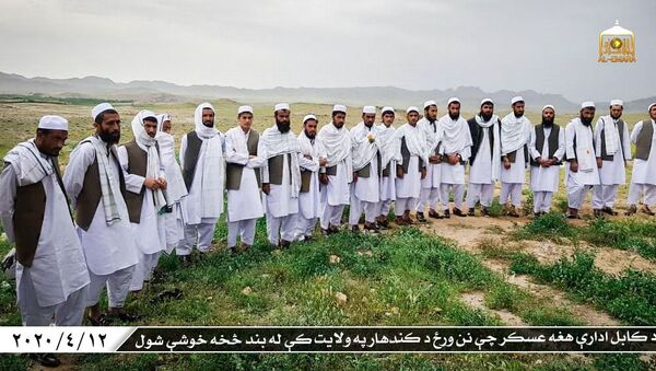 آزادی یک گروه دیگر زندانیان دولتی از سوی طالبان در بلخ - اسپوتنیک افغانستان  
