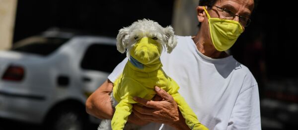 Мужчина и его собака в защитных масках в Каракасе, Венесуэла Мужчина и его собака в защитных масках в Каракасе, Венесуэла - اسپوتنیک افغانستان