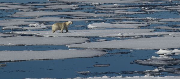 روند سریع گرم شدن قطب شمال روند سریع گرم شدن قطب شمال - اسپوتنیک افغانستان