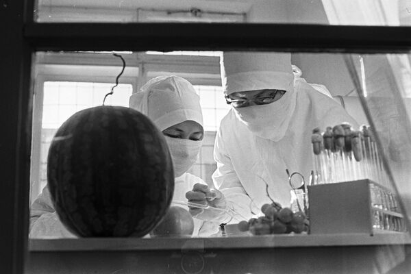 مقابله با اپیدمی وبا در آستراخان در سال 1971 - اسپوتنیک افغانستان  