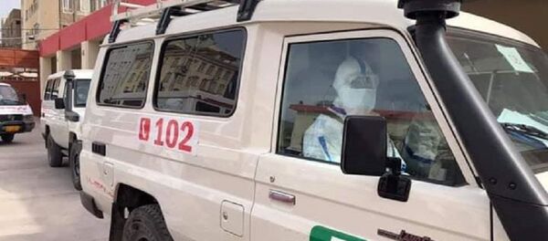 کرونا در هرات؛ ثبت چهار رویداد تازه در 24 ساعت گذشته کرونا در هرات؛ ثبت چهار رویداد تازه در 24 ساعت گذشته - اسپوتنیک افغانستان