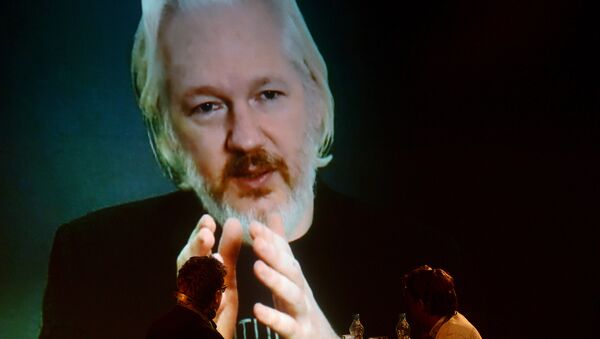Julian Assange. - اسپوتنیک افغانستان  