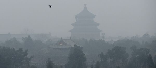  سازمان ملل: آلودگی شدید هوا، مرگ و میر ناشی از کرونا را افزایش می‌دهد - اسپوتنیک افغانستان  