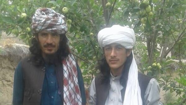 کشته شدن دو سرگروه طالبان در فاریاب  - اسپوتنیک افغانستان  